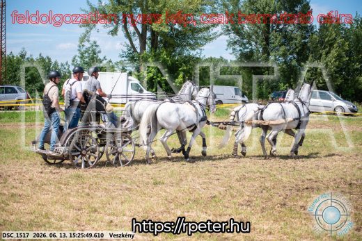 Mintakép 20260613-1526