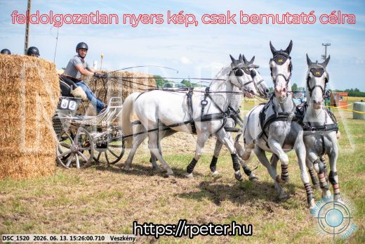 Mintakép 20260613-1527