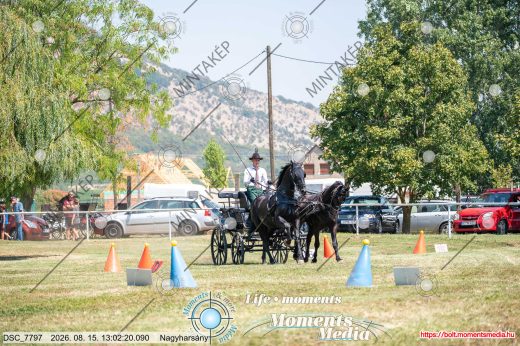 Mintakép 20260815-901