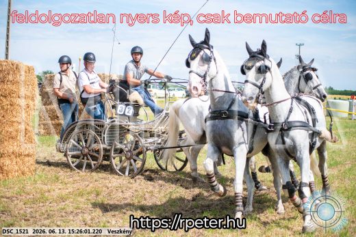 Mintakép 20260613-1528