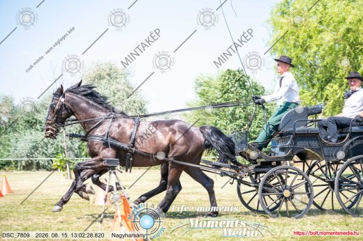 Mintakép 20260815-909