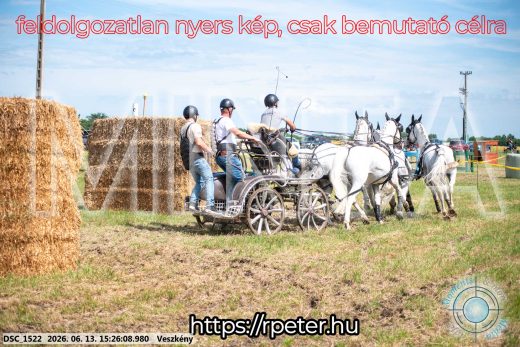 Mintakép 20260613-1529