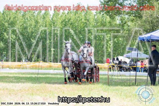 Mintakép 20260613-1530