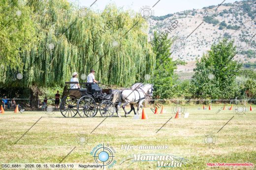 20260815-104853-DSC_6881.jpg