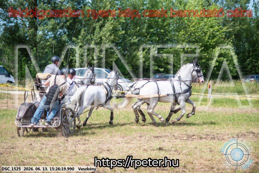 Mintakép 20260613-1531