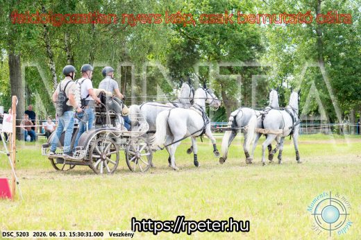 Mintakép 20260613-1532