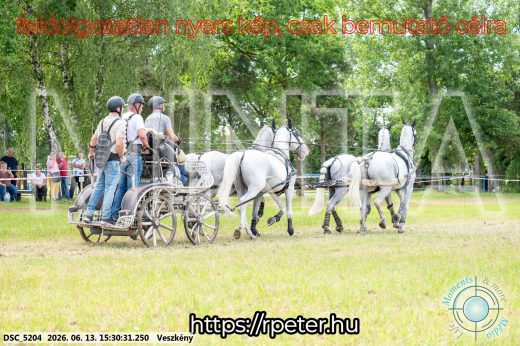 Mintakép 20260613-1533