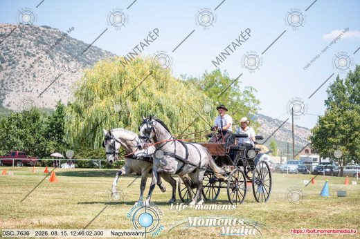 Mintakép 20260815-958