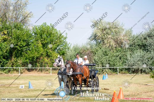 20260815-100715-DSC_6620.jpg