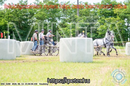 Mintakép 20260613-1537