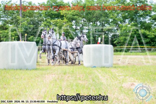 Mintakép 20260613-1538