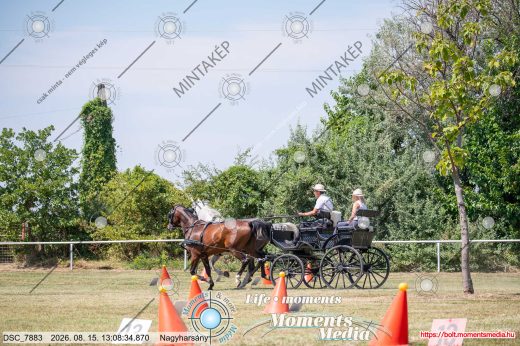 Mintakép 20260815-1003