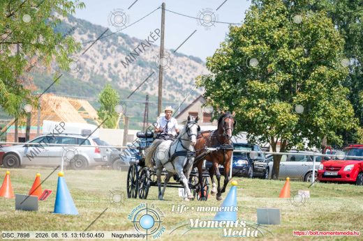 Mintakép 20260815-1012