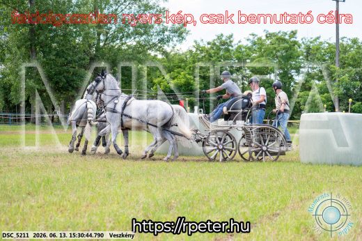 Mintakép 20260613-1539