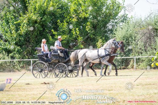 Mintakép 20260815-1031