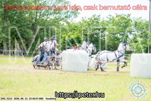 Mintakép 20260613-1541