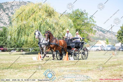 Mintakép 20260815-1039