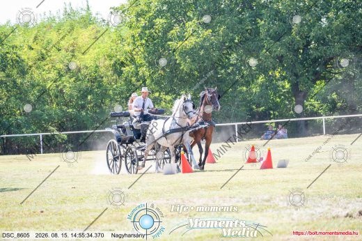 Mintakép 20260815-1043