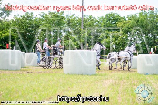 Mintakép 20260613-1543