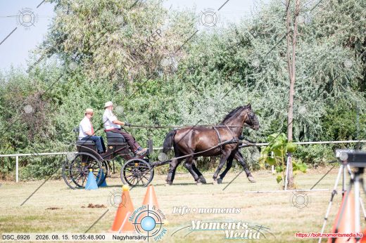 Mintakép 20260815-1056