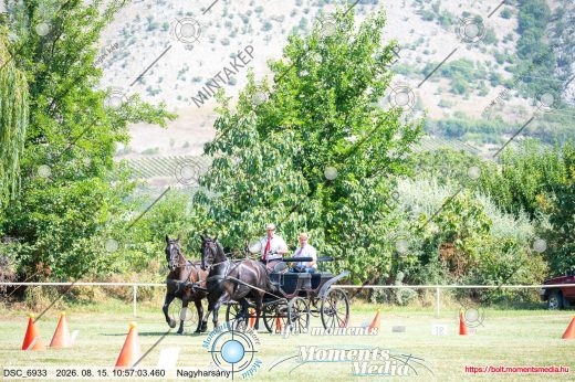 Mintakép 20260815-1062