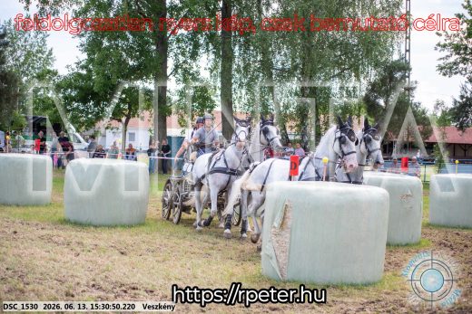 Mintakép 20260613-1544