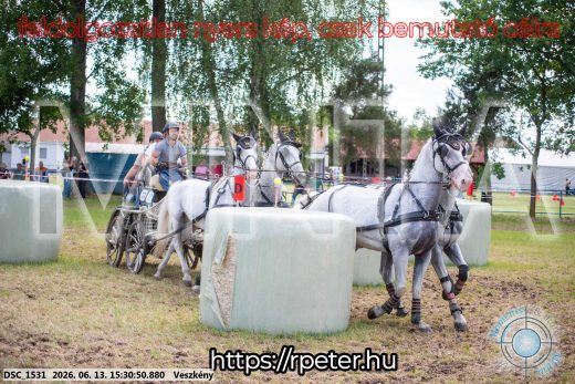 Mintakép 20260613-1545