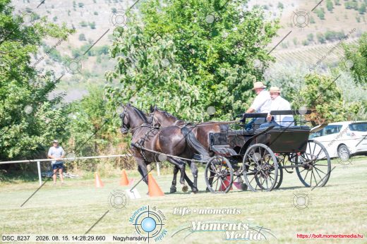 Mintakép 20260815-1087