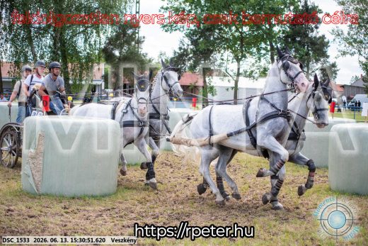 Mintakép 20260613-1547