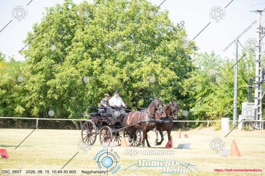 20260815-104430-DSC_6857.jpg