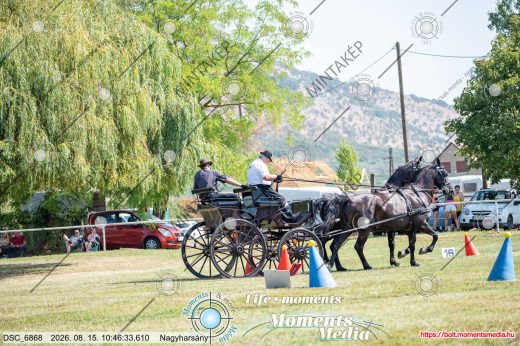 Mintakép 20260815-1100