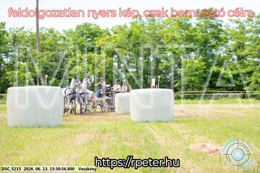 Mintakép 20260613-1548