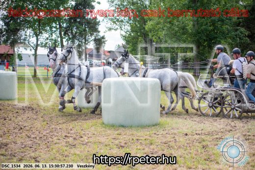 Mintakép 20260613-1549