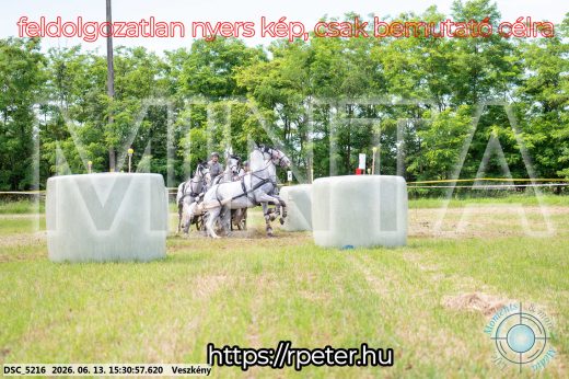 Mintakép 20260613-1550