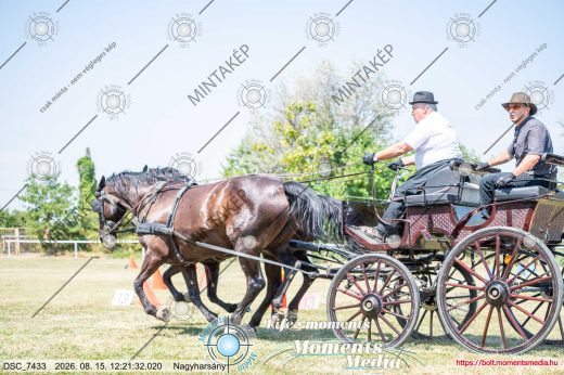Mintakép 20260815-1123