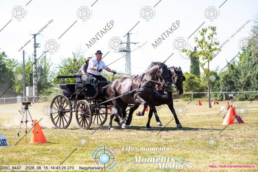 Mintakép 20260815-1129
