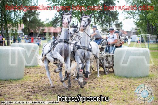 Mintakép 20260613-1552