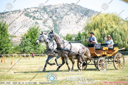 Mintakép 20260815-1146