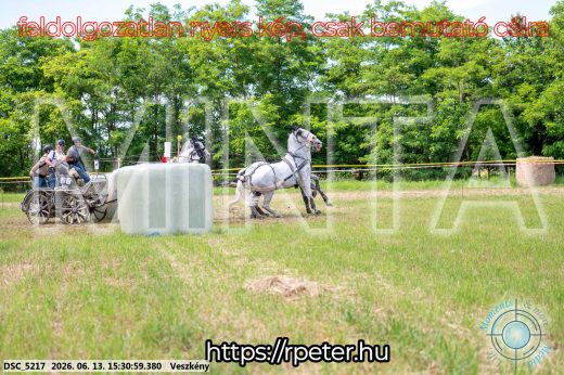 Mintakép 20260613-1553