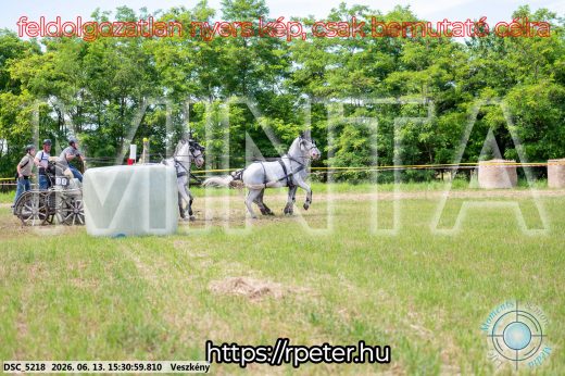 Mintakép 20260613-1554