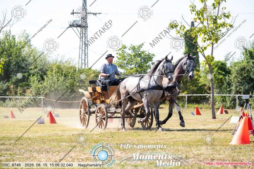 Mintakép 20260815-1169