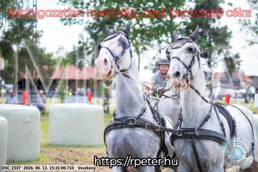Mintakép 20260613-1555