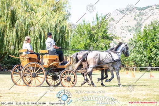 Mintakép 20260815-1174