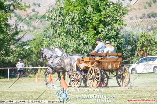 Mintakép 20260815-1176