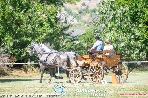 Mintakép 20260815-1177