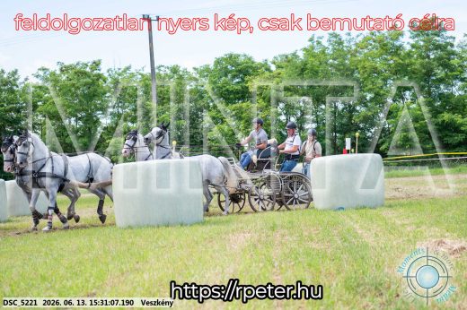 Mintakép 20260613-1556
