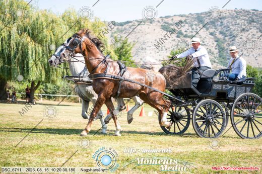 Mintakép 20260815-1212