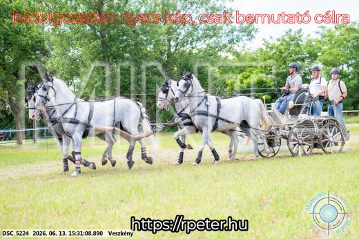 Mintakép 20260613-1559
