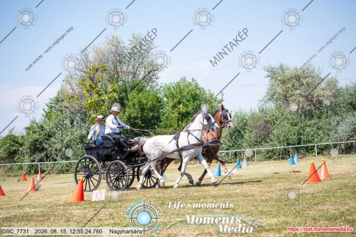 Mintakép 20260815-1218