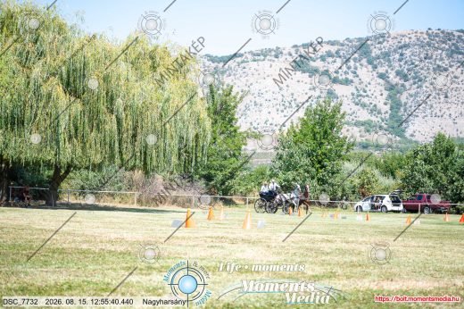 Mintakép 20260815-1219